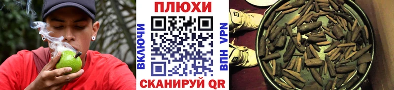 Гашиш гашик  Себеж 