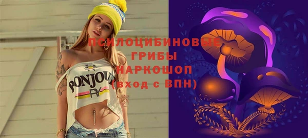 крисы Костерёво