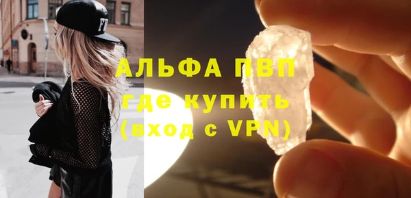 индика Корсаков