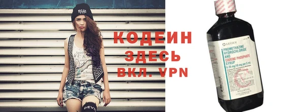 индика Корсаков