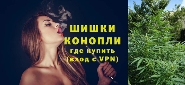 крисы Костерёво