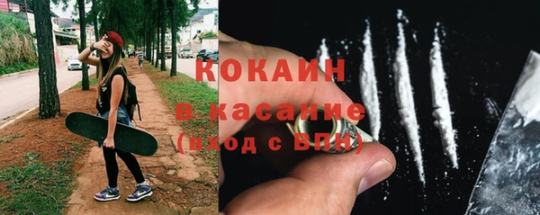 стаф Краснослободск