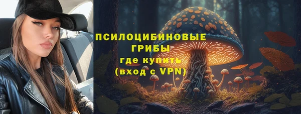 стаф Коряжма