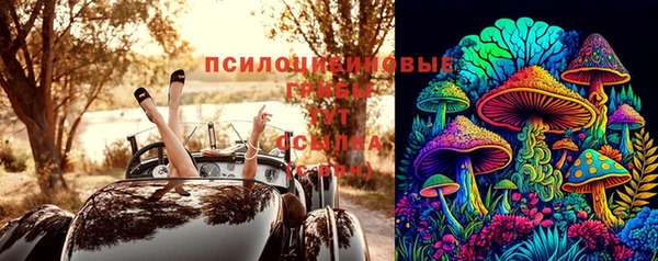 гидропоника Надым